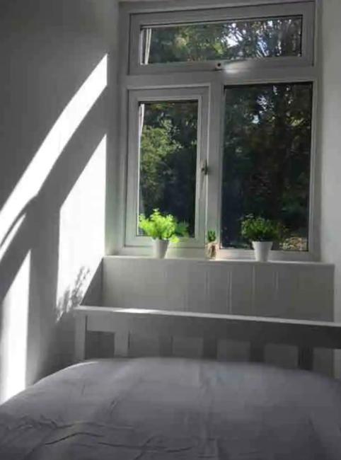 A Woodland Retreat - Apartment In Converted Mill Helston Exteriér fotografie